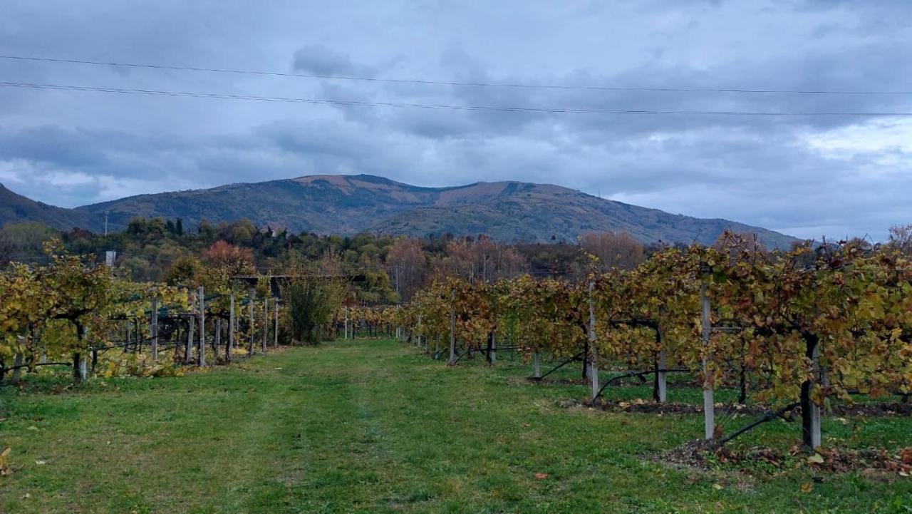 La Caneveta Al Piave Valdobbiadene Exterior photo