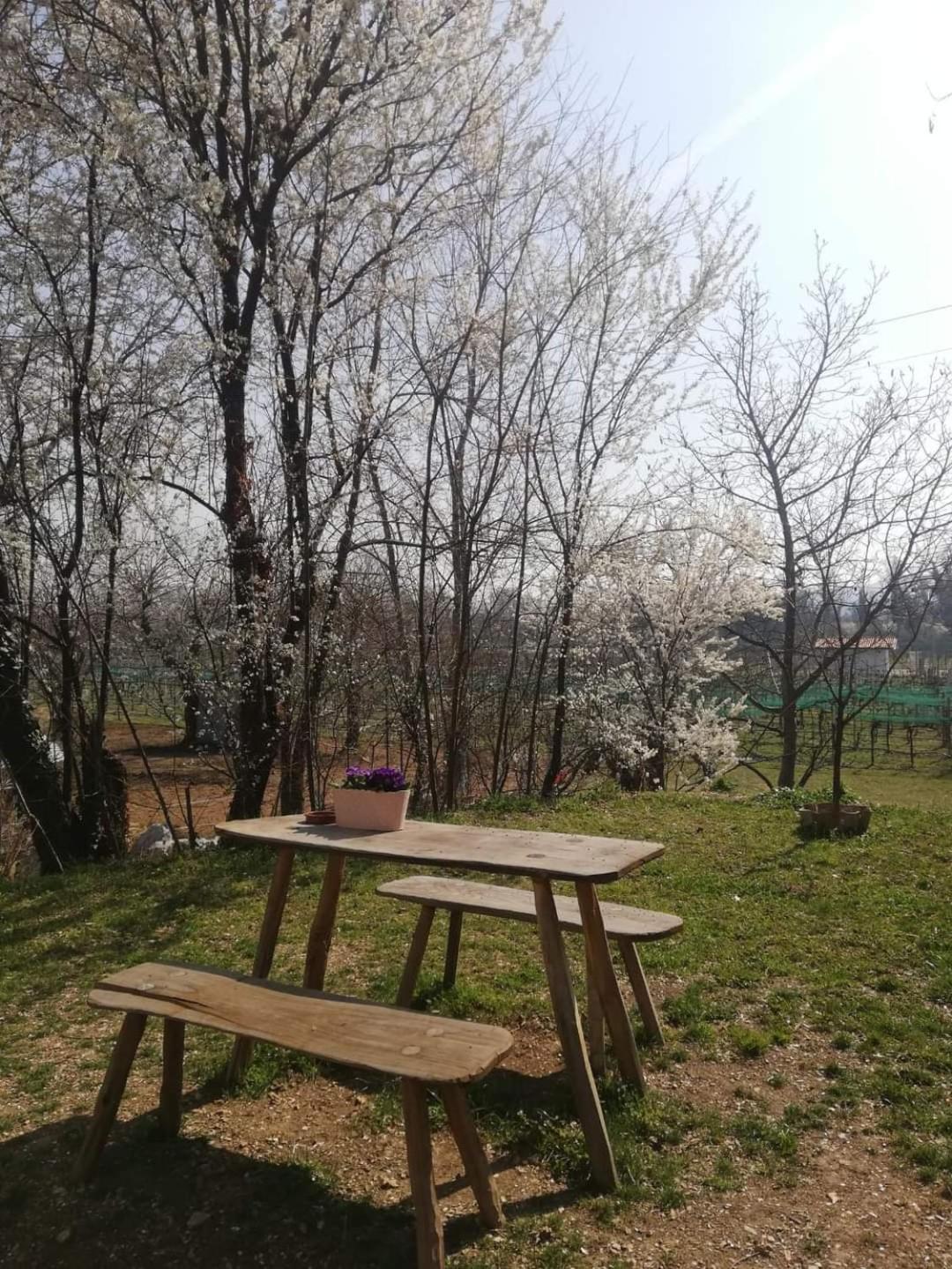 La Caneveta Al Piave Valdobbiadene Exterior photo